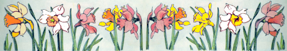 daffodils